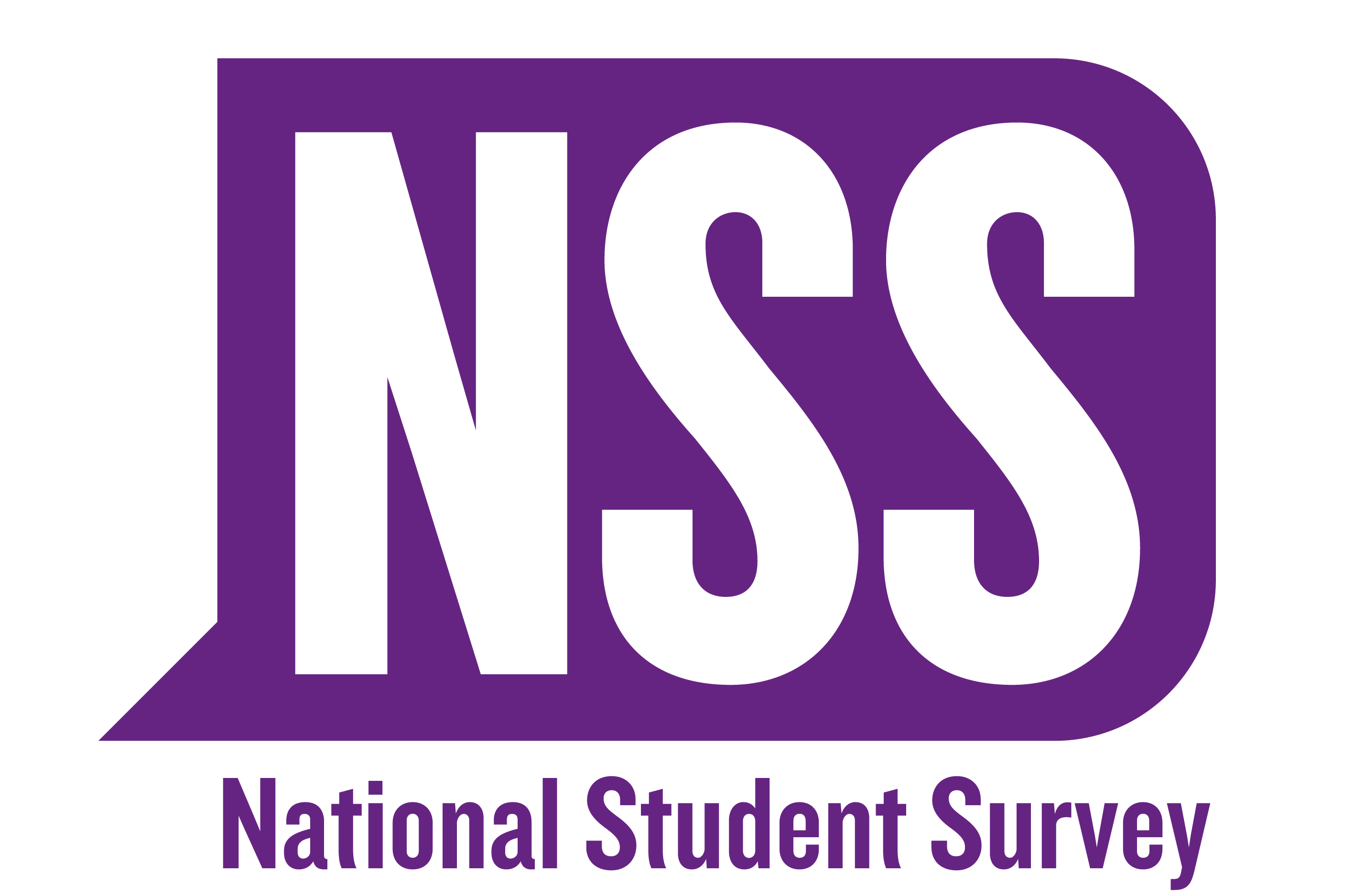 NSS 2019 Logo
